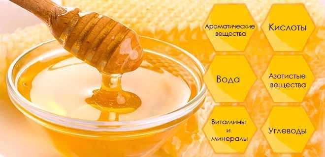сорта мёда какие бывают список